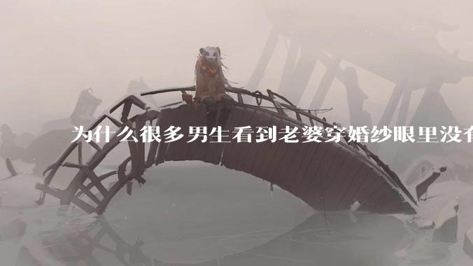 为什么很多男生看到老婆穿婚纱眼里没有光?